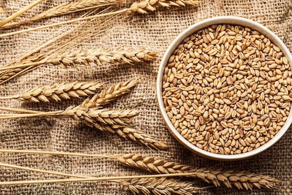 Read more about the article Siyez Buğdayı: Genetiği Korunmuş, Buğdayın Atası